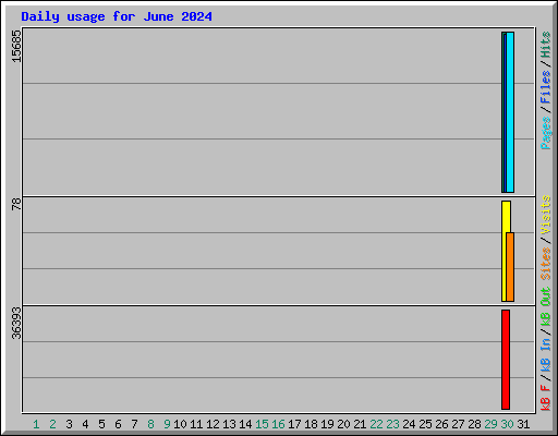 Daily usage for June 2024