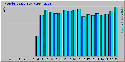 Hourly usage for March 2024