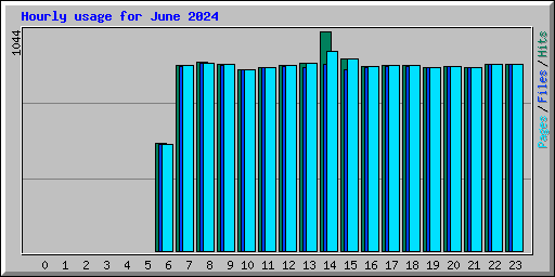 Hourly usage for June 2024