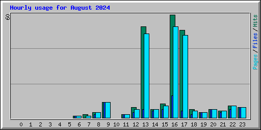 Hourly usage for August 2024