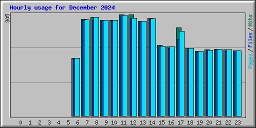 Hourly usage for December 2024