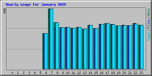 Hourly usage for January 2025