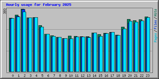 Hourly usage for February 2025